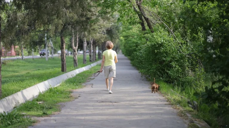 Descanso activo: qué es y por qué descansa más que no hacer nada - Apaga tu Mente
