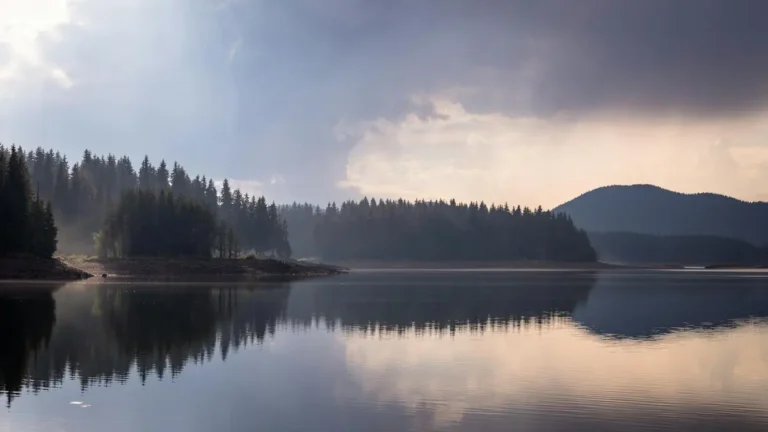 Calm lake with forest reflections at dawn, serene and scenic landscape.