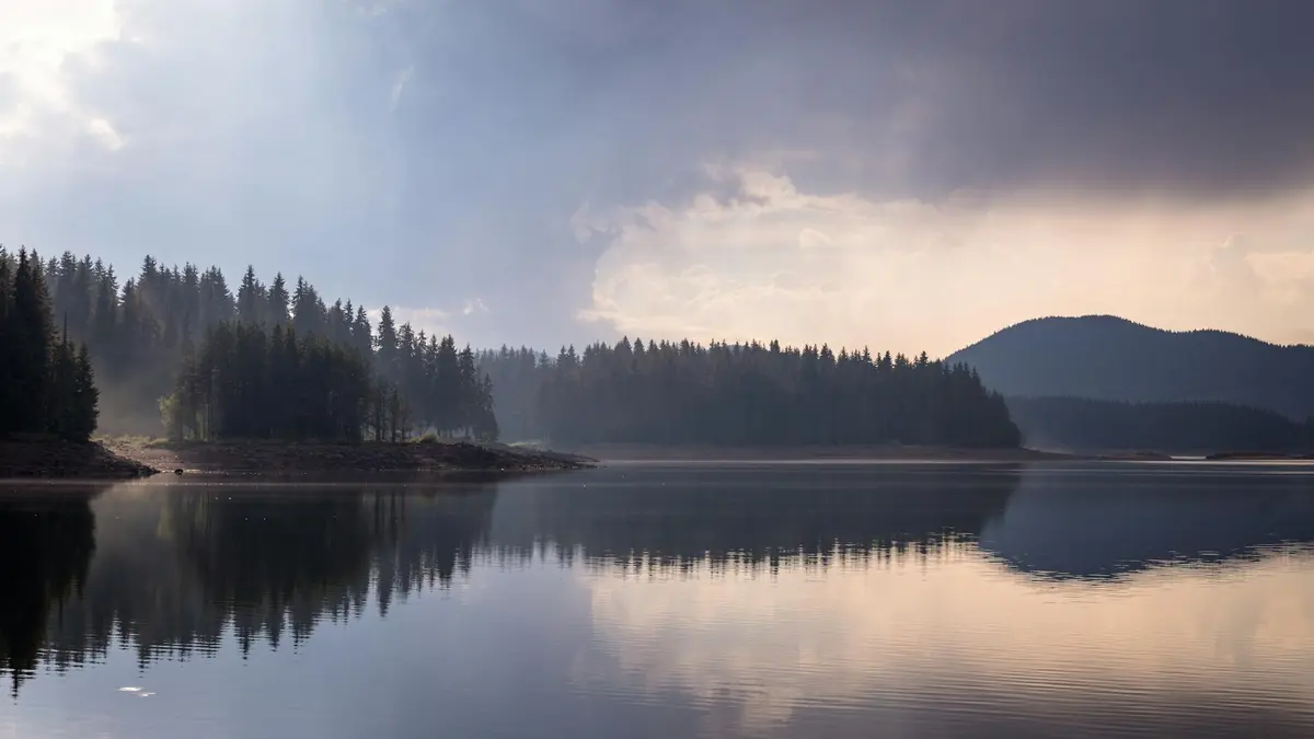 Calm lake with forest reflections at dawn, serene and scenic landscape.